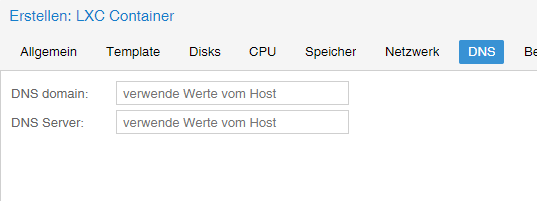 lxc-dns